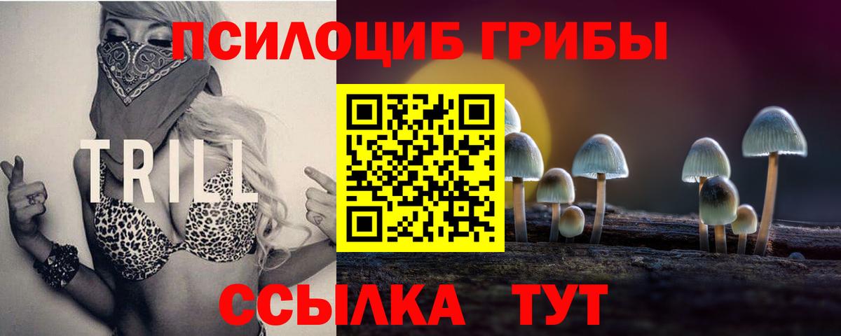 Галлюциногенные грибы прущие грибы Реутов